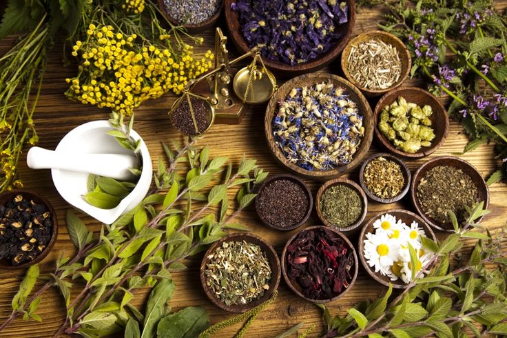 ayurvedaleaf.com